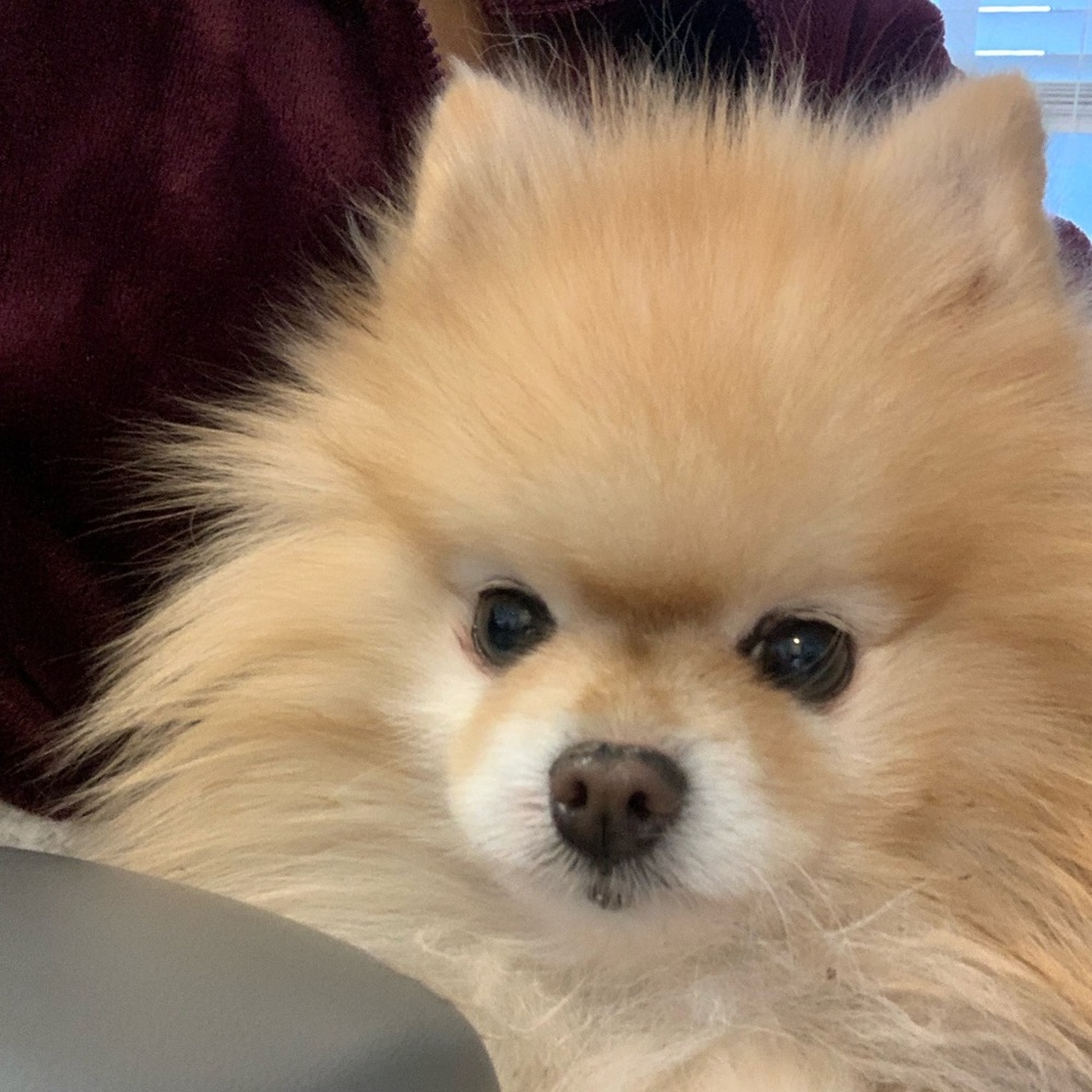 Meet your Posher, Kendy